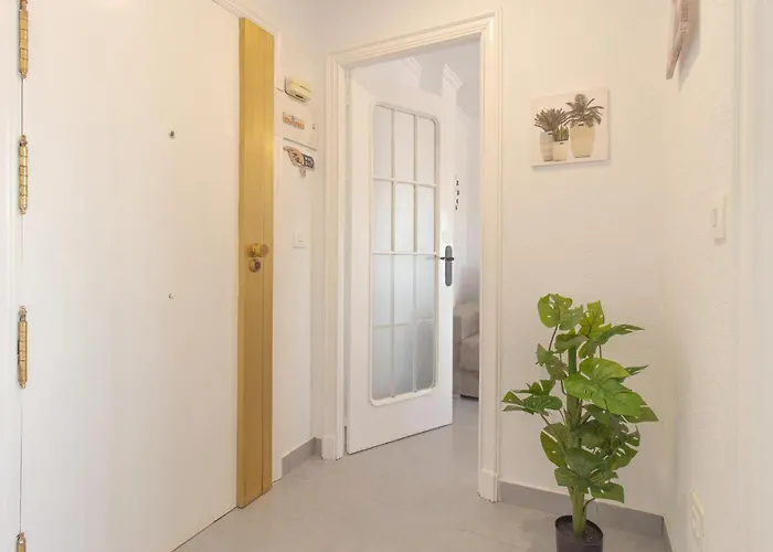 Appartement Awesome In Torrevieja